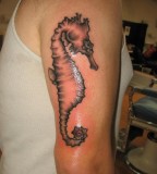 Upper Arm Tattoo Design - Sea Horse Tattoo