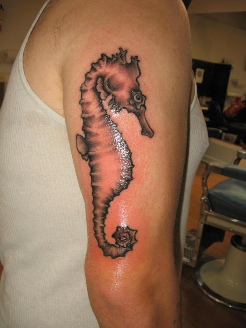 Upper Arm Tattoo Design – Sea Horse Tattoo