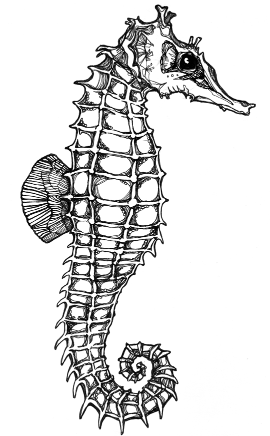 Seahorse Skeleton Tattoo Design