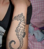 White Bleeding Heart Seahorse Tattoos on The Side Of The Hand