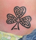 Young Shamrock Clover Celtic Tattoo Designs Meaning