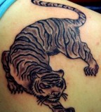 Black Tiger Tattoos On Right Shoulder Blade