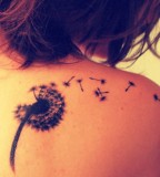 Feminine Dandelion Tattoos on Shoulder-blade for Women