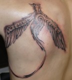 Beautiful Peacock Bird Tattoo on Shoulder-blade - Bird Tattoo
