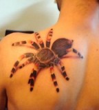 Big Tarantula Shoulder Tattoos