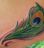 Amazing Small Peacock Feather Tattoo
