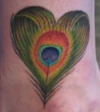 Love Shape Feather Peacock Tattoos Tattoo