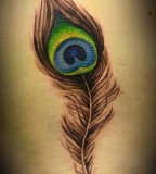 The New Peacock Feather Tattoo Design