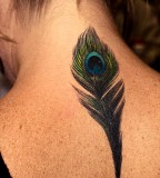 Nape Of Neck Peacock Feather Tattoo Photo