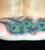 Peacock Design Tattoo For Girl