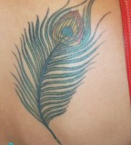 Peacock Feather Back Tattoo Design