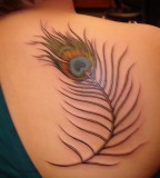 Peacock Feather Tattoo On Back For Girl