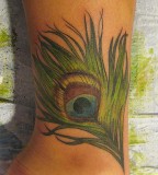 Photo Of Peacock Feather Tattoo