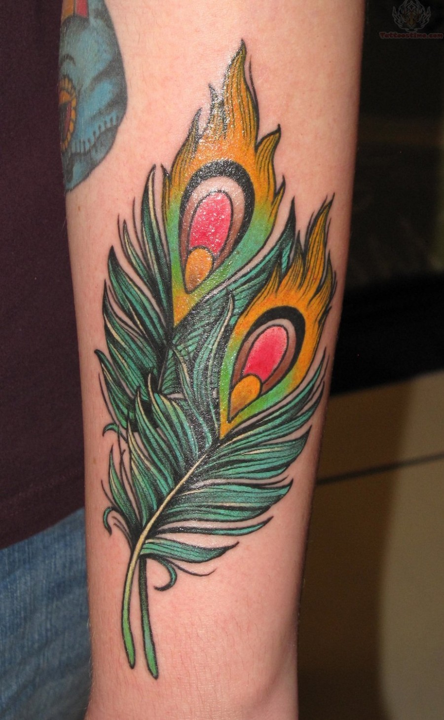 Colorful Peacock Feathers Small Tattoo