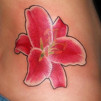 Pink Flower Stargazer Lily Side