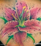 Awesome Stargazer Lily Tattoo Artists