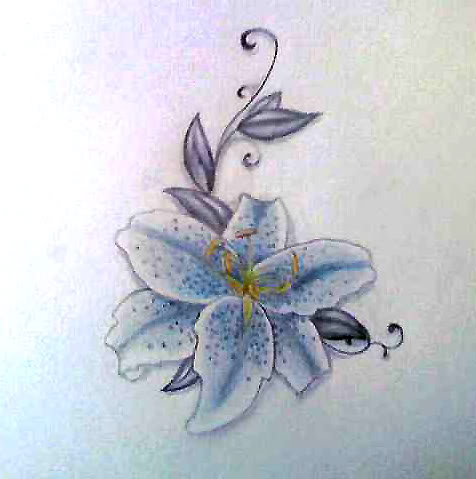 Stargazer Lily Tattoo Image Sketch