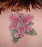 Stargazer Lily  Tattoo Picture For Girl