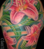 Tattoo Inspiration Worlds Best Tattoos Flower Lily