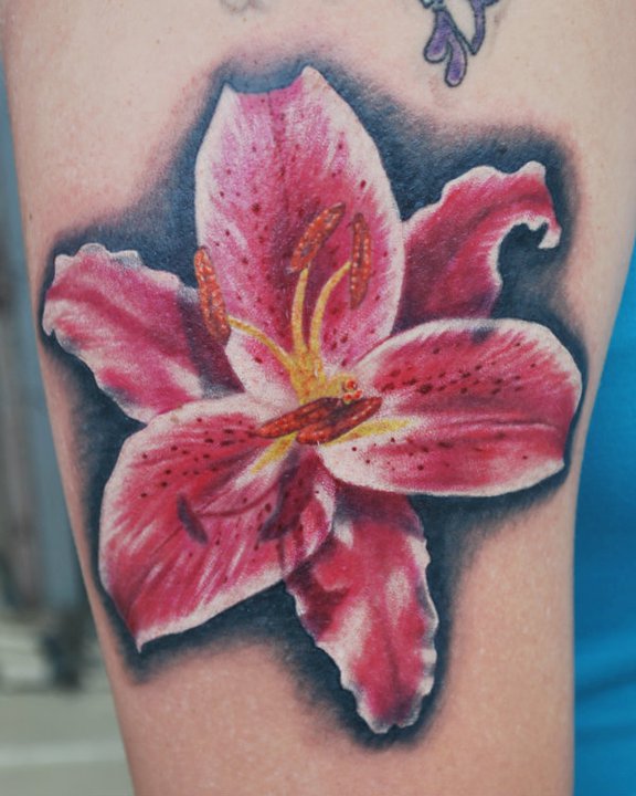 Stargazer Lily Tattoo By Joshing88 On Deviantart
