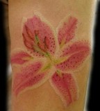 Pink Stargazer Lily Tattoo Design Ideas