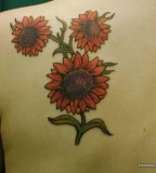 Cute Sunflowers Tattoo Design On Shoulder