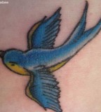 Lovely Swallow Bird Tattoo Inspiration