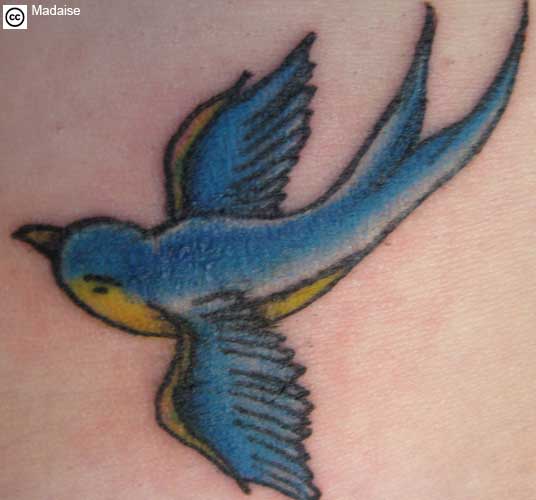 Lovely Swallow Bird Tattoo Inspiration