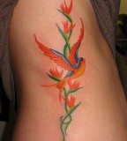 Imaginative Swallow Bird Tattoo Ideas Picture