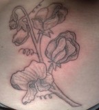 Sweet Pea Flowers Stomach Tattoo