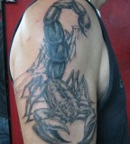 Epic Scorpion Tattoos For Men