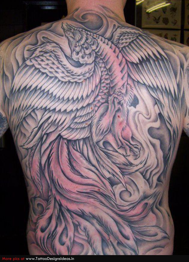Tatto Design Of Phoenix Tattoos Dermagrafiti