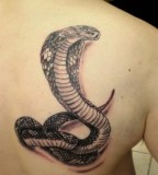 Cobra Tattoo Design For Men