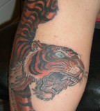 Awesome Tiger Tattoo Designs For Women