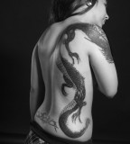 Aggressive Design of Dragon Tattoo Designs Black Tribal Dragon