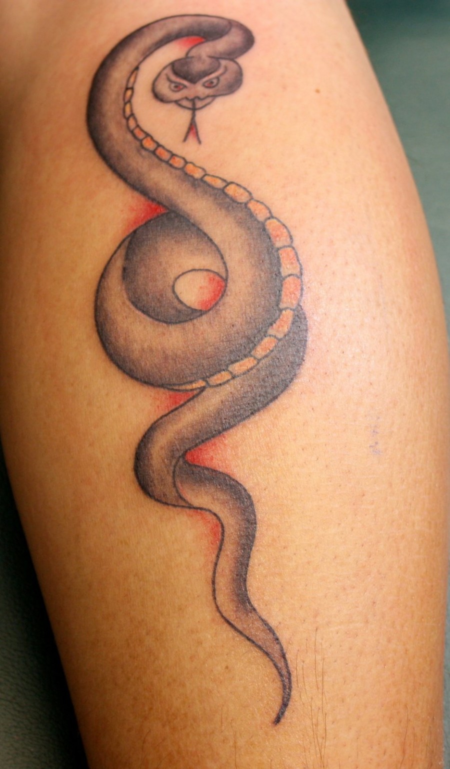 Awesome Snake Tattoo Designs for Women – Animal Tattoos