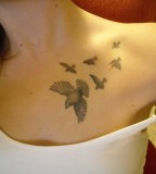Astounding Bird Silhouette Tattoo Designs for Girls