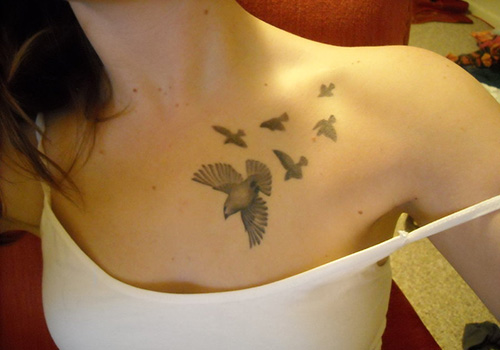 Astounding Bird Silhouette Tattoo Designs for Girls