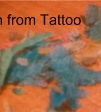 Cid Bloggity Blogs My Experiences With Tattooing