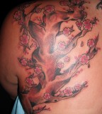 American Scream Cherry Blossoms Tattoos