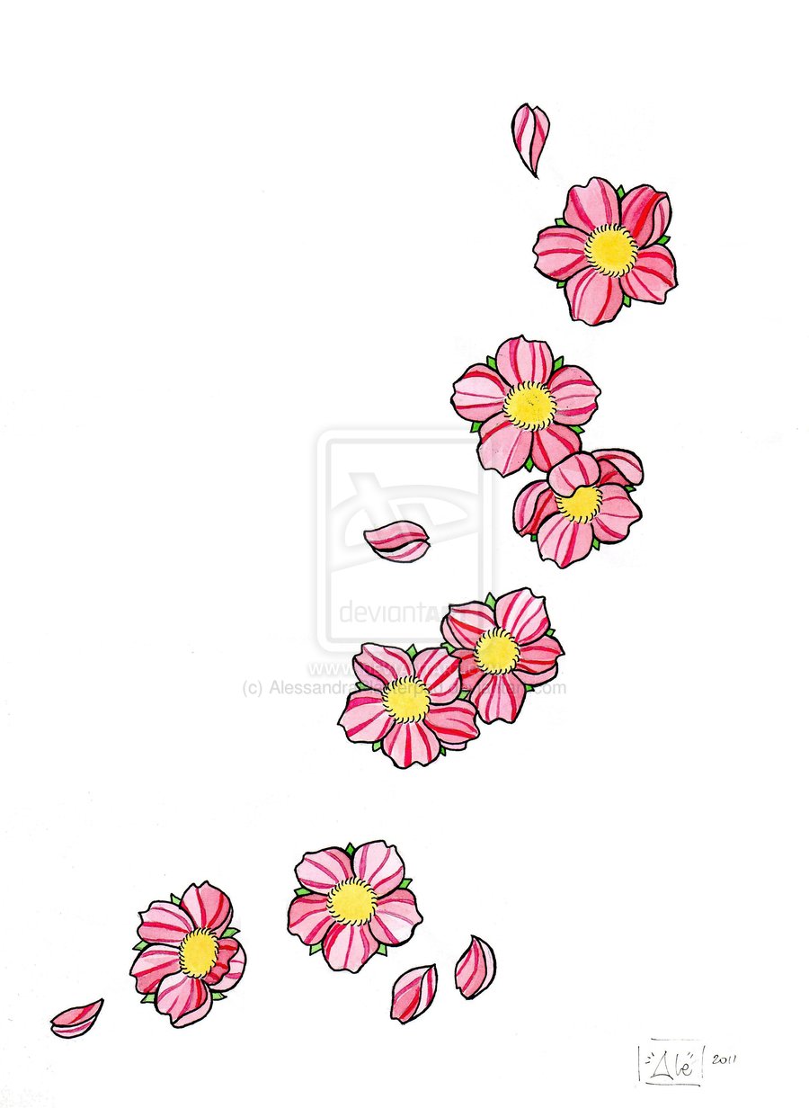 Sketch of Tattoo Cherry Blossoms By Alessandraplasterpad