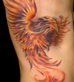 Tattoo Design of Red Fiery Phoenix Tattoos for Men's Rib
