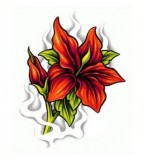 Lily Flower Tattoo Designs Timeless Symbols Of Expression for Women