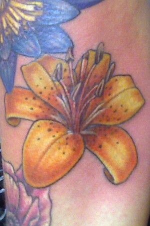 Tattoos Color Tiger Lily
