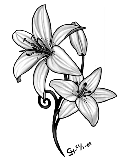 Lily Tattoo Meaning Ideas Image