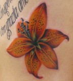 Beautiful Flower Tattoos Tiger Lily On The Ribs 
