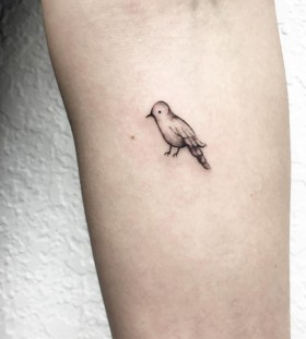 tiny-bird-tattoo-by-luiza-blackbird