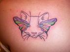 Cat and Butterfly Art Tlc Tattoo School Pic