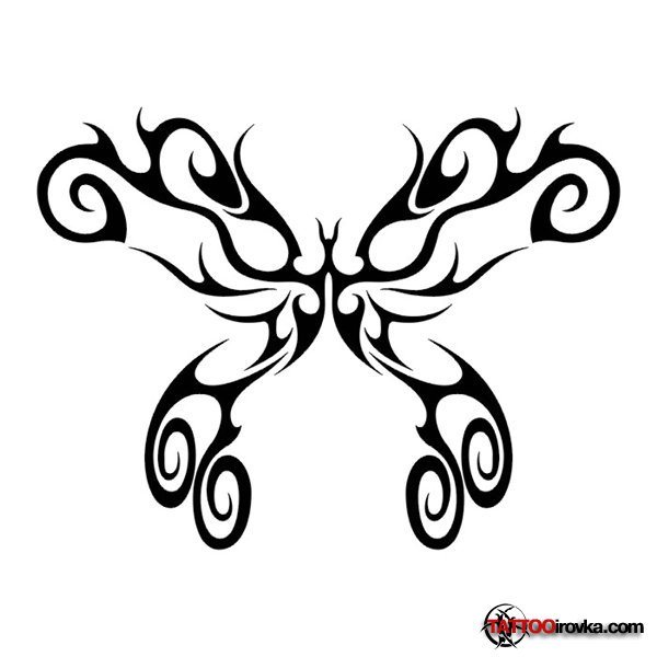 Stunning Butterfly Tribal Tattoo Sketch