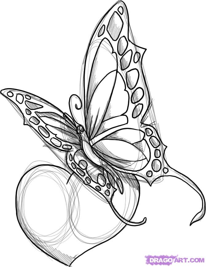 Tribal Butterfly Tattoo Drawing Sample